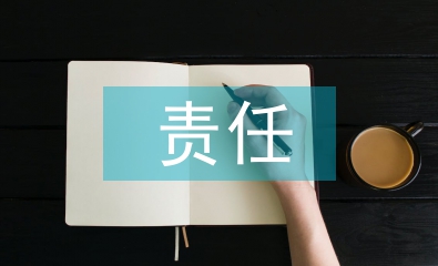 責(zé)任承擔(dān)擔(dān)保書(shū)