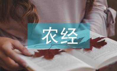 小農(nóng)經(jīng)濟的產(chǎn)生