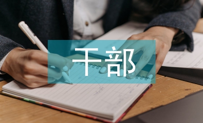 干部任職轉(zhuǎn)正總結(jié)