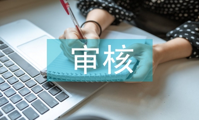 審核崗位實(shí)習(xí)個(gè)人總結(jié)