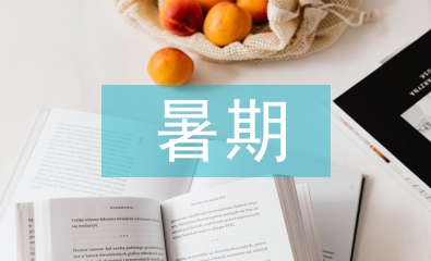 暑期大學(xué)生實習(xí)論文