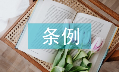 招標(biāo)投標(biāo)法實(shí)施條例