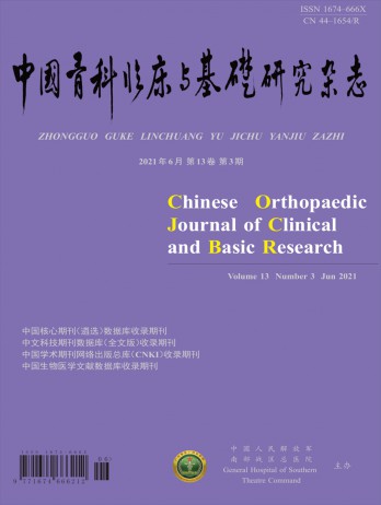 中國(guó)骨科臨床與基礎(chǔ)研究雜志