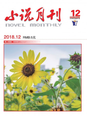 小說(shuō)月刊雜志