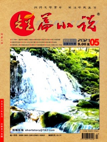 短篇小說(shuō)雜志